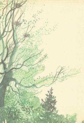 Поллианна (с илл.)